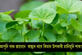 centella asiatica benefits