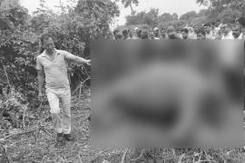 Rhino Carcass Found in Assam’s Kaliabor