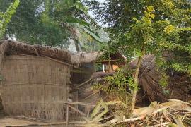 man elephant conflict