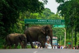 PM to Lay Foundation for Kaziranga Corridor, Kokrajhar–Gelephu Rail Link in January