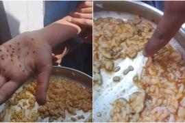 कर्नाटक के स्कूलों में मिड-डे मील के चावल में मिले कीड़े, जांच के आदेश