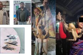 Poaching of Critically Endangered Bengal Florican Sparks Outrage in Assam, Two Arrested