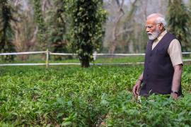‘Main Chai Wala Hoon…’: PM Modi in Assam Targets Congress Over Culture, Tea Community and Fertiliser Reforms