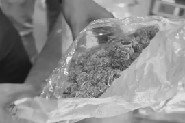 Assam: Rowta Police Seize Over 30 kg of Ganja in Anti-Narcotics Operation