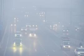 Dense Fog Engulfs Delhi-NCR, 128 Flights Cancelled; Schools Closed in Noida