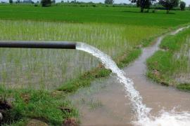 अंतिम खेत तक पहुँचा पानी: कैसे नहरों का पानी पंजाब की खेती को बदल रहा है