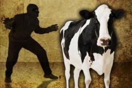 Cattle Theft Suspicion Sparks Tension in Assam’s Dibrugarh, Police Fire Warning Shots