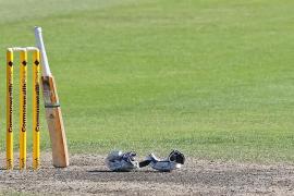 Chandigarh Beat Assam by Seven Wickets Despite Sibsankar Roy’s Century