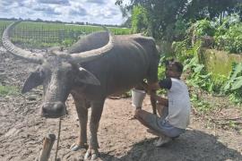 असम के किसान जितुल बुरागोहेन को नेशनल ब्रीड कंजरवेशन अवार्ड से सम्मानित