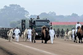 इस नस्ल के विलुप्त होने के कगार पर होने के बावजूद, भारतीय सेना ने बनाए अपने ‘कमांडो’; अब 2026 के गणतंत्र दिवस पर कर्तव्य पथ पर देखे गए