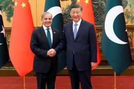 शहबाज़ शरीफ के लिए अच्छी खबर: चीन की बढ़ती मांग के बीच पाकिस्तान गधों से अरबों कमाने की तैयारी, संख्या 60 लाख के पार