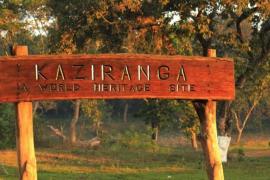 Kaziranga, Manas Emerge as Front-Runners in Assam’s Dark Sky Mission