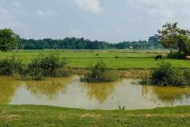 Less than 10% of Assam’s Cropped Land Irrigated Despite 12.6 Lakh Hectare Target