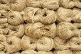 Quality Fibre Crucial for Strengthening Assam’s Jute Economy