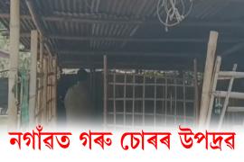 nagaon news