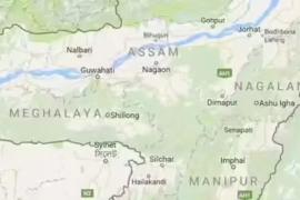 DNA Study Reveals Assam as Key Migration Corridor, Highlights Mixed Heritage