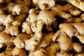 ‘Brand Assam goes global’: CM hails GI-tagged Karbi ginger export to London