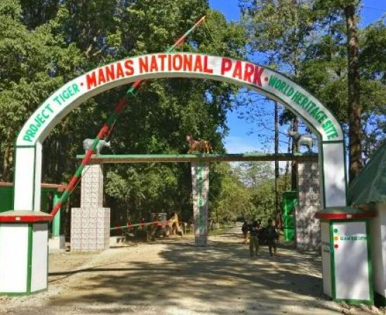 manas national park