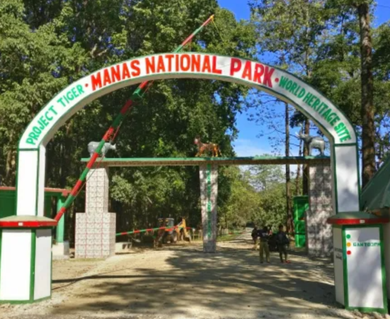 manas national park