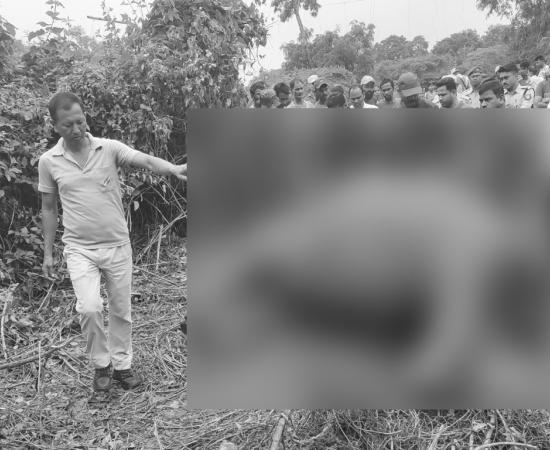 Rhino Carcass Found in Assam’s Kaliabor