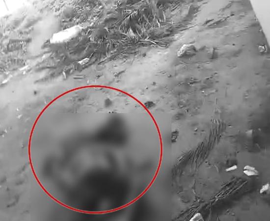 Dead body recovered