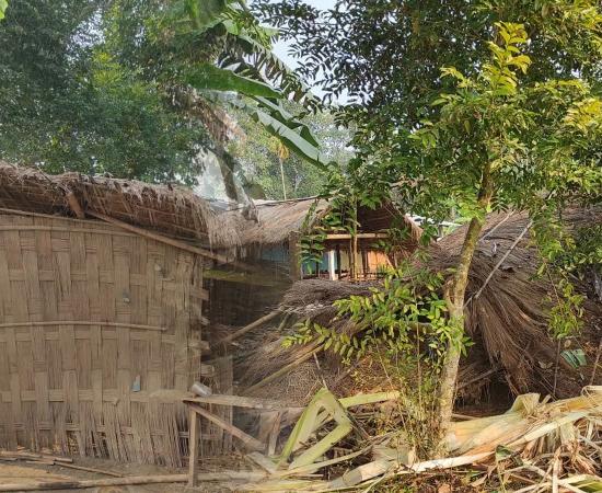 man elephant conflict