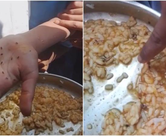 कर्नाटक के स्कूलों में मिड-डे मील के चावल में मिले कीड़े, जांच के आदेश