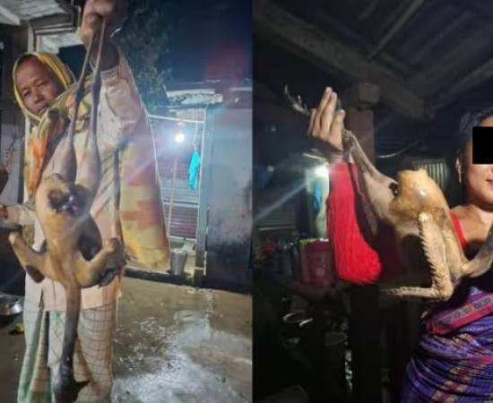 असम में अति संकटग्रस्त बंगाल फ्लोरिकन के शिकार से आक्रोश, दो गिरफ्तार