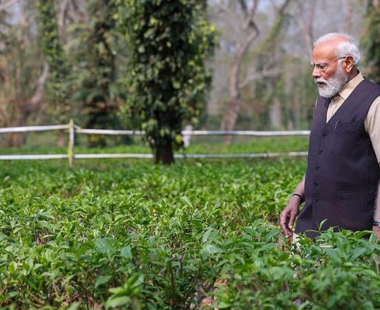 ‘Main Chai Wala Hoon…’: PM Modi in Assam Targets Congress Over Culture, Tea Community and Fertiliser Reforms