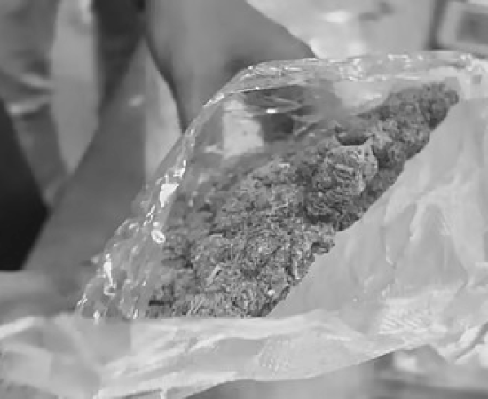 Assam: Rowta Police Seize Over 30 kg of Ganja in Anti-Narcotics Operation