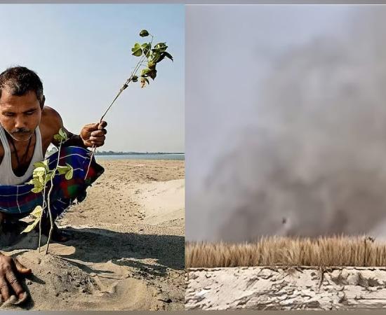 Fire damages part of environmentalist Jadav Payeng’s Assam reforestation project