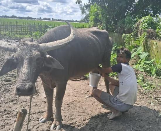 असम के किसान जितुल बुरागोहेन को नेशनल ब्रीड कंजरवेशन अवार्ड से सम्मानित