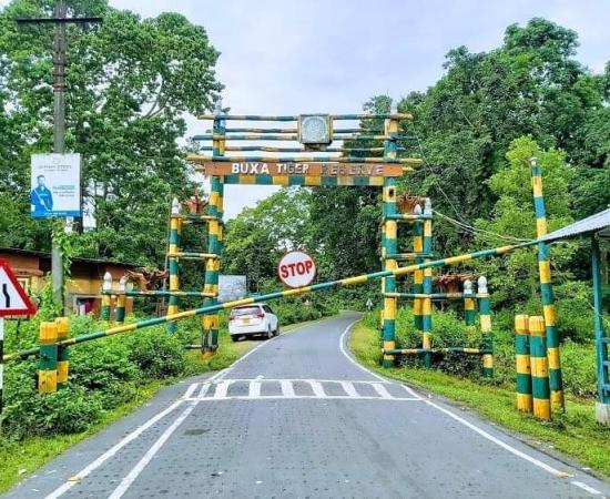 মাঘে বাঘের আতঙ্ক, বক্সা জঙ্গলে সাময়িকভাবে বন্ধ শিকারি রোড