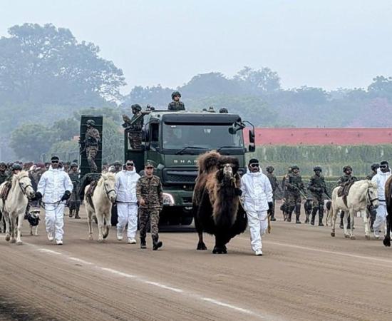 इस नस्ल के विलुप्त होने के कगार पर होने के बावजूद, भारतीय सेना ने बनाए अपने ‘कमांडो’; अब 2026 के गणतंत्र दिवस पर कर्तव्य पथ पर देखे गए