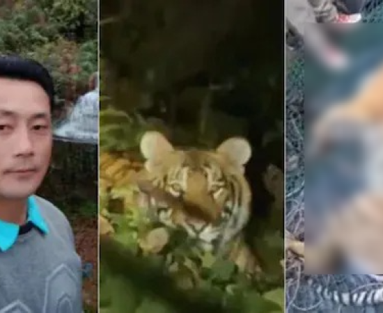 बाघ के ह/मले में शहीद हेड कांस्टेबल की पत्नी ने वन विभाग पर लापरवाही का आरोप लगाया