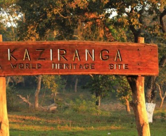 Kaziranga, Manas Emerge as Front-Runners in Assam’s Dark Sky Mission