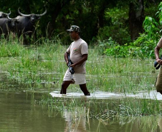 Former Civil Servants Oppose Deployment of Assam Forest Force for Poll Duty